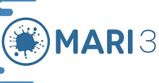 Релиз Mari 3