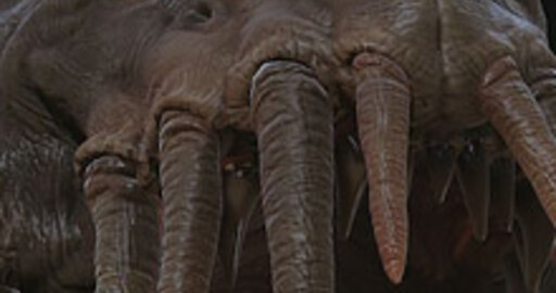 Релиз Kraken rigging framework v1.2