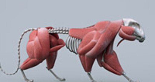 CharacterBox для Modo