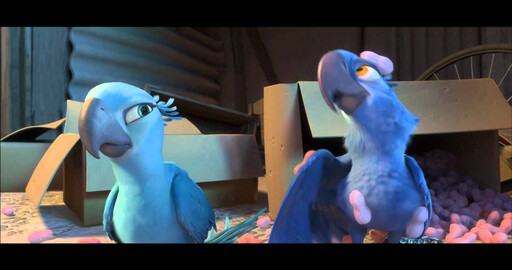 Rio International Trailer