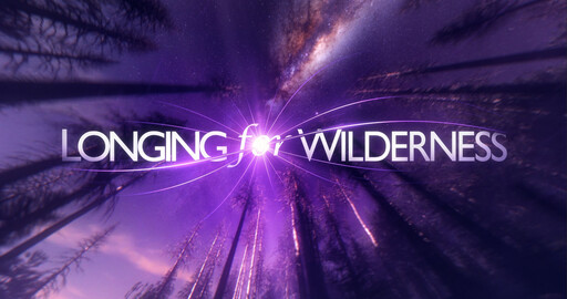Longing for Wilderness 360° video