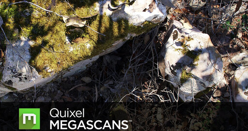 Megascans 2016 Release Trailer