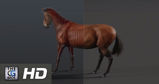 "Horse R&D Project - A Breakdown" - by Lonnie Kraatz