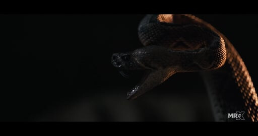 MR. X 2017 DEMO REEL