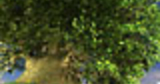 Художник Роман Ц.: на страже галереи Render.ru