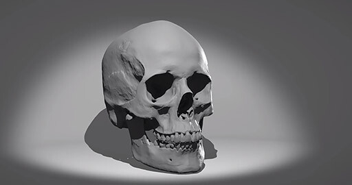 Skull Sketcher 2 от Ten24