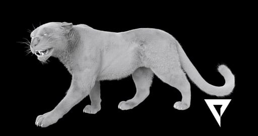 Grooming Reel 2017 - Grzegorz Jankowski