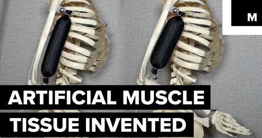 Super strong artificial muscle