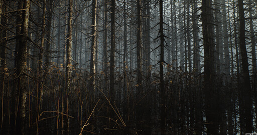Лес в UE4. Фрагмент 2.