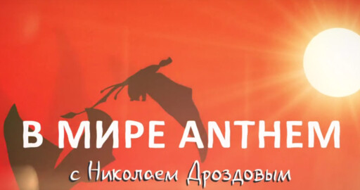 В мире Anthem с Николаем Дроздовым
