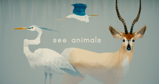 See Animals