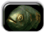 Интервью с Курсад Каратасом