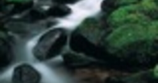 7 лучших советов по Adobe Photoshop 7.0