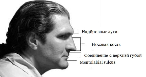 Рисование фигуры. Основы