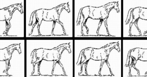 HORSE-TIMING