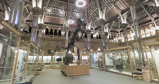 19 бесплатных 3D моделей доисторических видов животных.