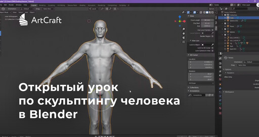 Открытый видео урок по скульптингу человека в Blender