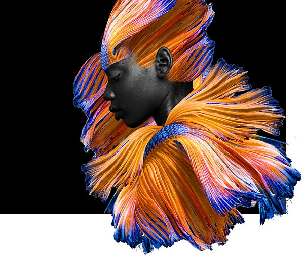 Photoshop 22.2 и Photoshop для iPad 2.1.