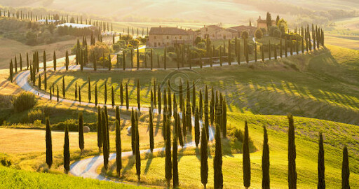 Making Of "Toscana"