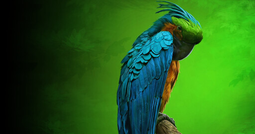 Painter 2022 от Corel