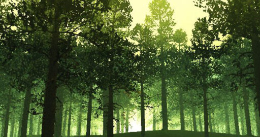 Лес в Зеленых тонах - Green Forest