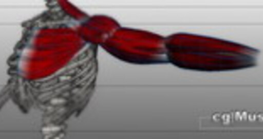 Плагины cgMuscle 2.0 и melfunctions для Maya