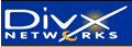 Bliizard заявил об использовании DivX