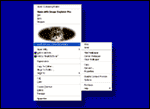ContextView Pro