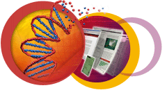 Adobe FrameMaker 7.1