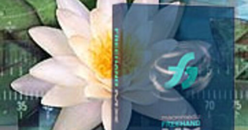 QuarkXPress 6 и Macromedia FreeHand MX