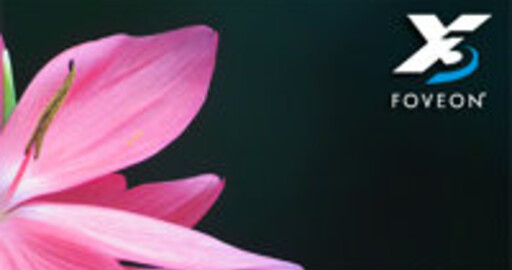 Adobe Camera Raw 2.2