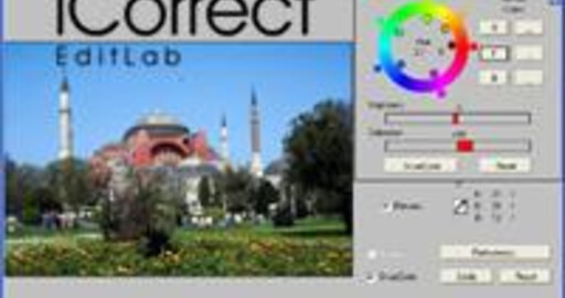 iCorrect Professional