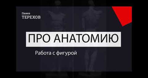 Про анатомию  -  фигура