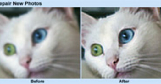Focus Magic 3