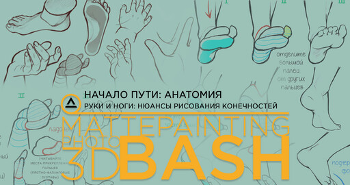Начало пути: анатомия. Руки и ноги