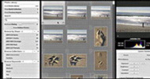 Adobe представил публике бета-версию приложения Lightroom для фотографов
