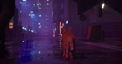 STRAY WOLF | Unreal Engine 5 Short Film (Cinematic)