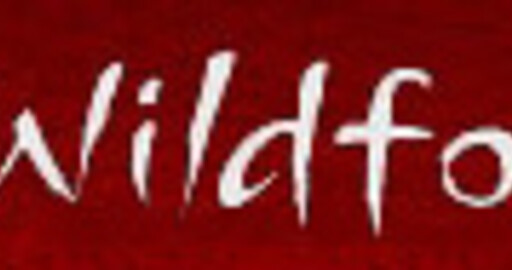 Wildform выпустила WildPresenter Pro 3.1