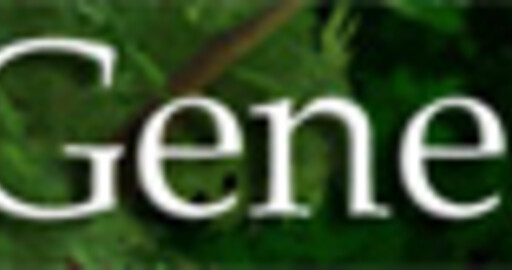 TreeGenerator 2.0