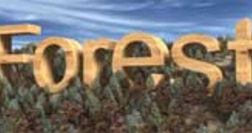 Forest Pack 2.4
