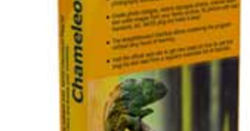 AKVIS Chameleon v.5.0: новые возможности создания коллажей