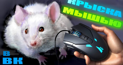 Крыса - Мышью