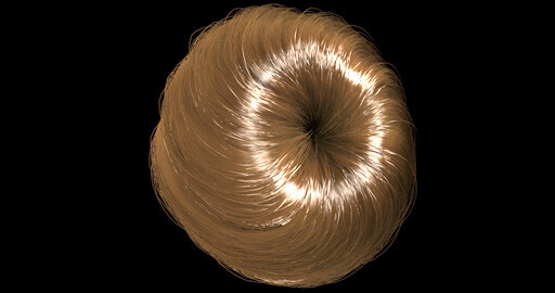 Ornatrix Maya | Hair Bun Series | 1 cерия