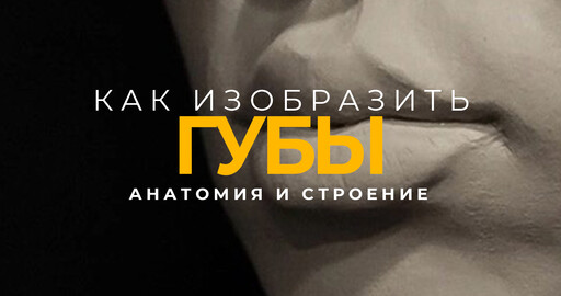 Строение губ. Разбор для художников