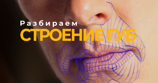 Разбираем построение губ Бенедикта Камбербэтча