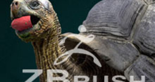 Анонсирован выпуск ZBrush 4 R2b