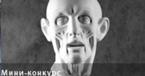 Зрительское голосование — Скульптинг на скорость №63 — «Экорше. Голова»