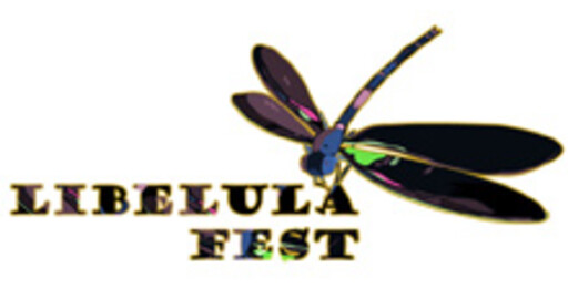 Libelula animation festival