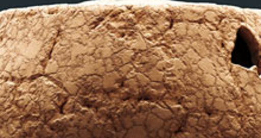 Caustic Visualizer для Autodesk Maya 2013 и Autodesk Maya 2012