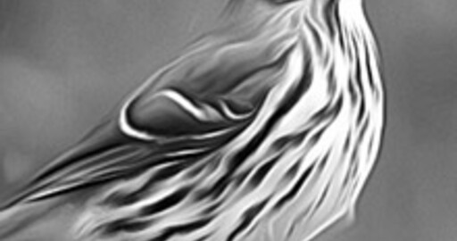 AKVIS AirBrush v.1.0: Рисунки в технике аэрография из фотографий